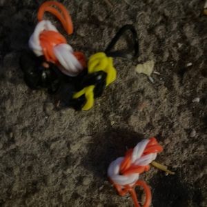 Meet your Posher, Max